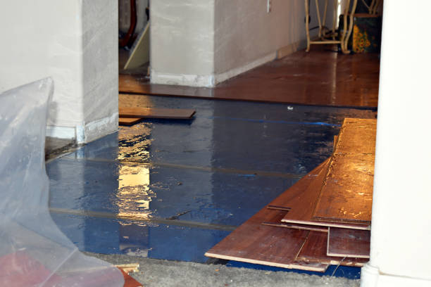 Professional Burst Pipe Cleanup technician working in Kensington, MD